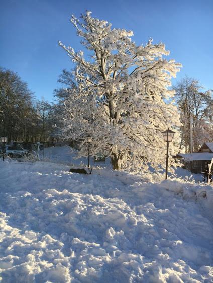 Berggasthof Zum Steira Schotten Exterior foto